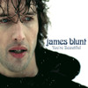 james blunt south africa