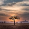 hu chen 60xloogwkfa unsplash