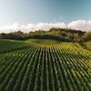 dan meyers 0agtpoaarte unsplash
