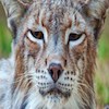 luismi sanchez ehc9fgyhs8i unsplash
