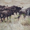 timothy barlin 2dndzs0dsg unsplash 1