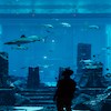 damir babacic bwdpm6kda84 unsplash
