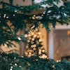 2312200805628